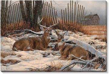 Fu Oil Painting - Windbreak Refuge Whitetail Deer